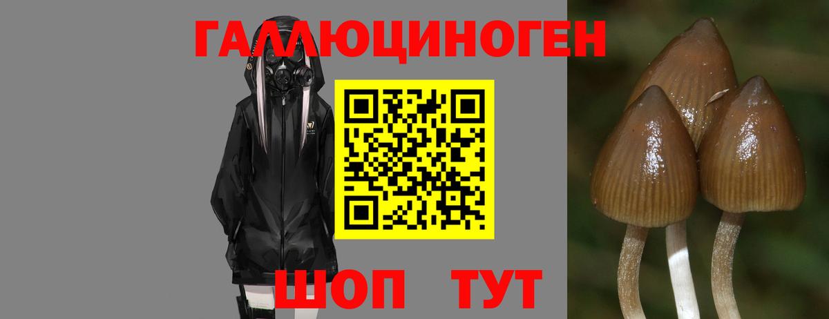 Красноуфимск  Галлюциногенные грибы мицелий  Вход с VPN 
