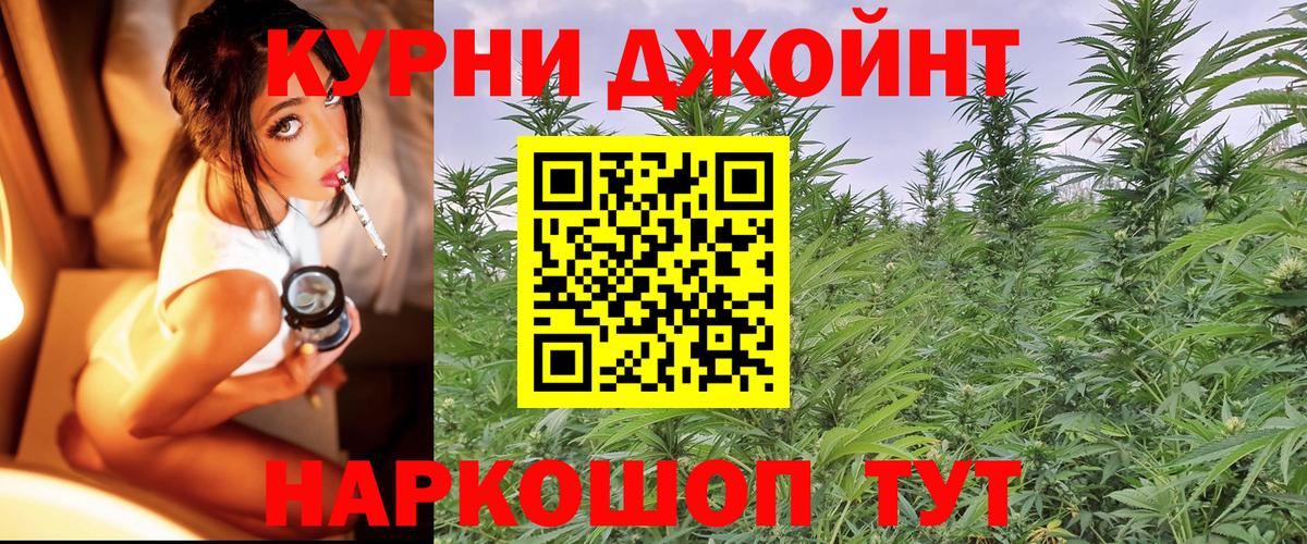 Бошки Шишки планчик  Бошки Шишки White Widow  Красноуфимск  Вход с VPN  Каннабис ГИДРОПОН 